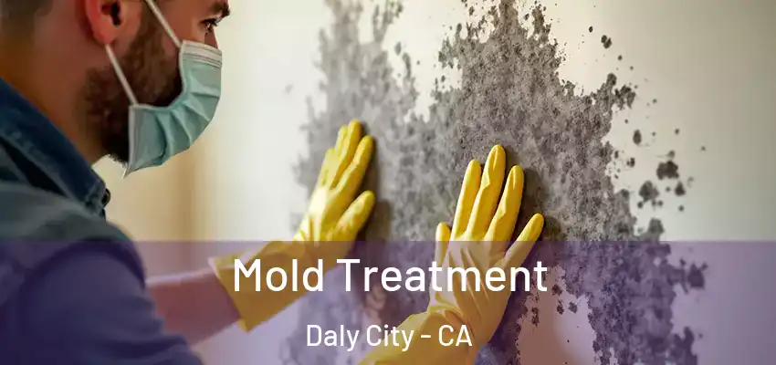  Mold Treatment Daly City - CA