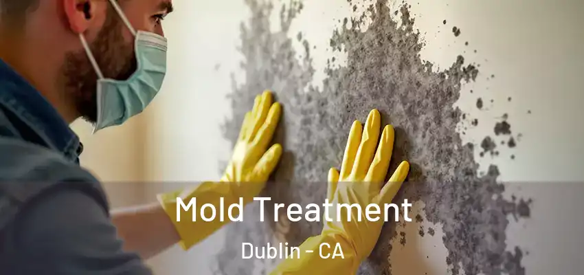  Mold Treatment Dublin - CA
