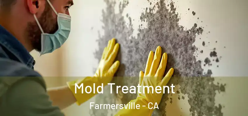  Mold Treatment Farmersville - CA