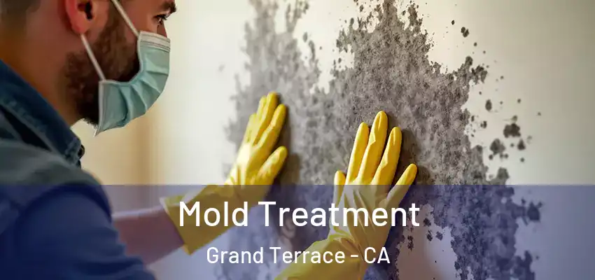  Mold Treatment Grand Terrace - CA