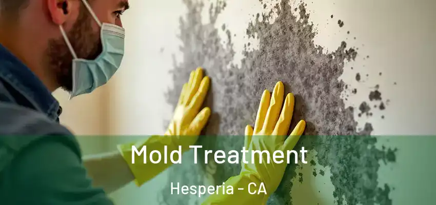  Mold Treatment Hesperia - CA