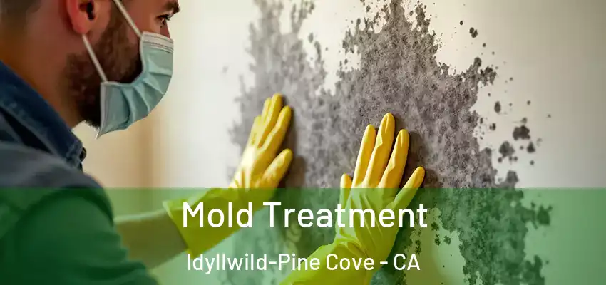  Mold Treatment Idyllwild-Pine Cove - CA