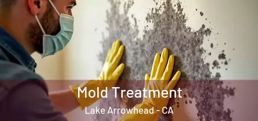  Mold Treatment Lake Arrowhead - CA