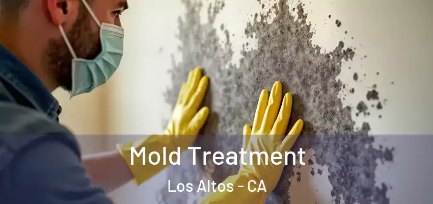  Mold Treatment Los Altos - CA