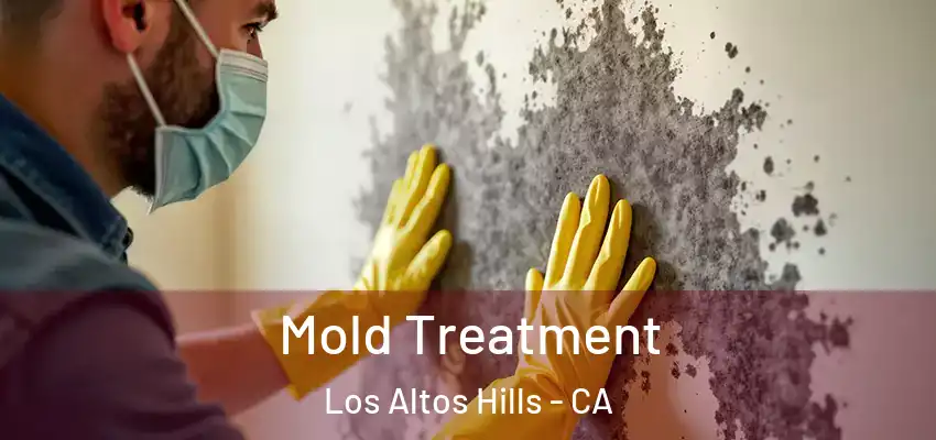  Mold Treatment Los Altos Hills - CA