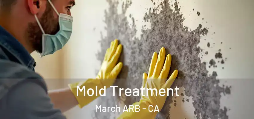  Mold Treatment March ARB - CA