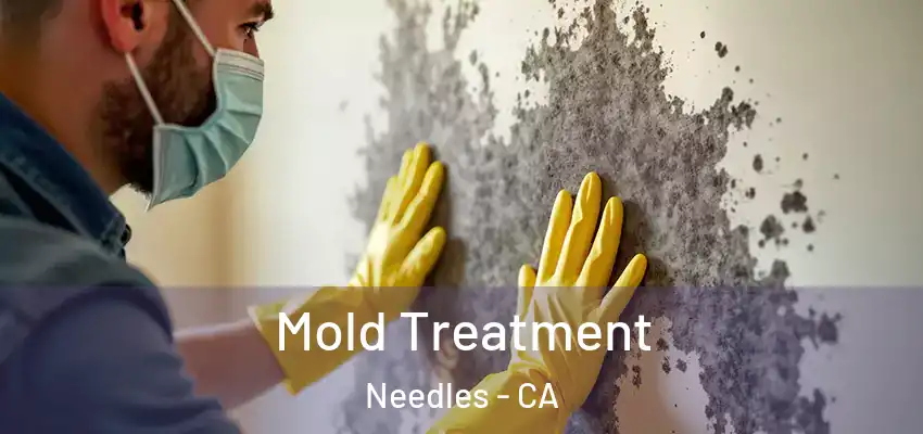  Mold Treatment Needles - CA