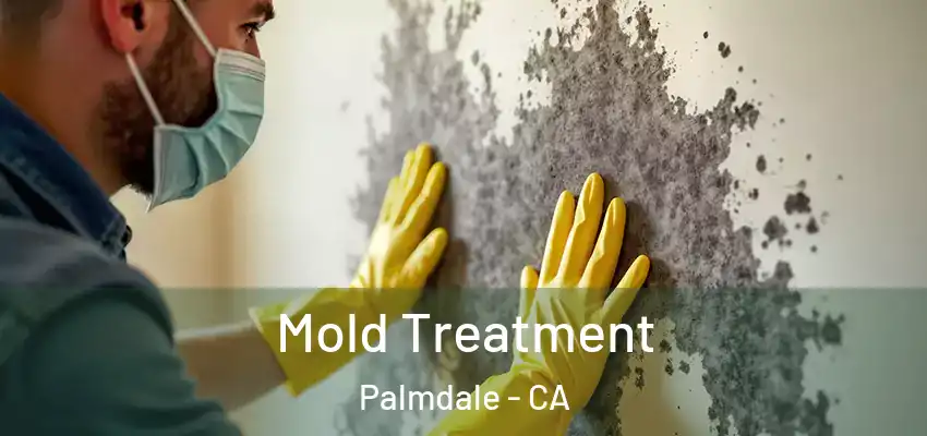 Mold Treatment Palmdale - CA