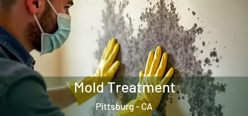  Mold Treatment Pittsburg - CA