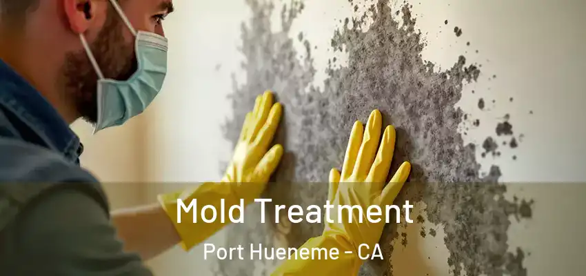  Mold Treatment Port Hueneme - CA