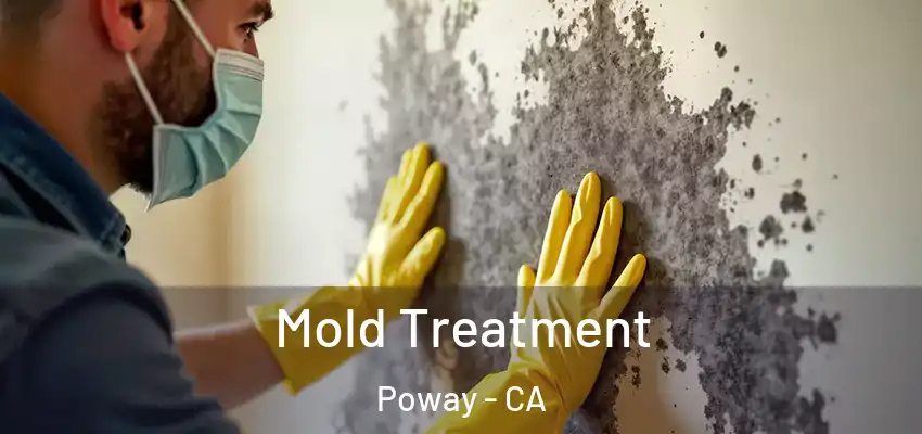  Mold Treatment Poway - CA