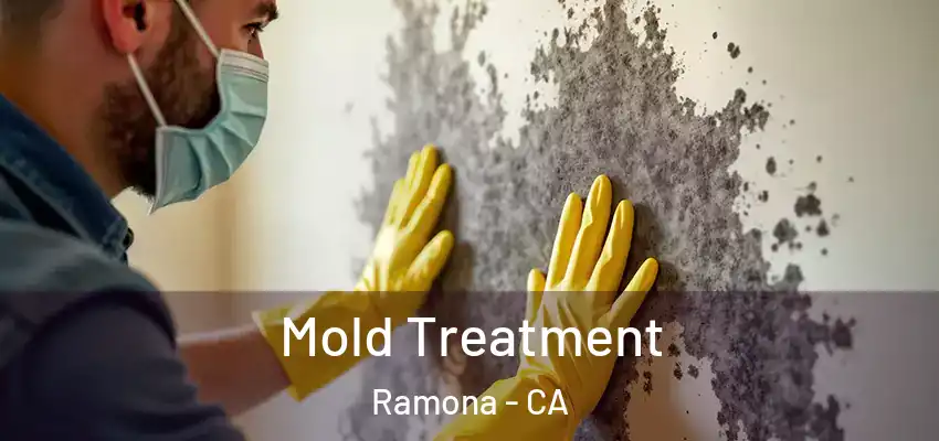  Mold Treatment Ramona - CA
