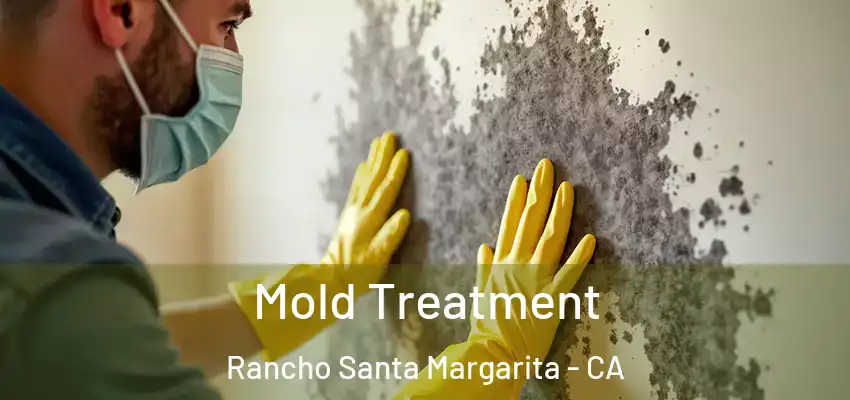  Mold Treatment Rancho Santa Margarita - CA