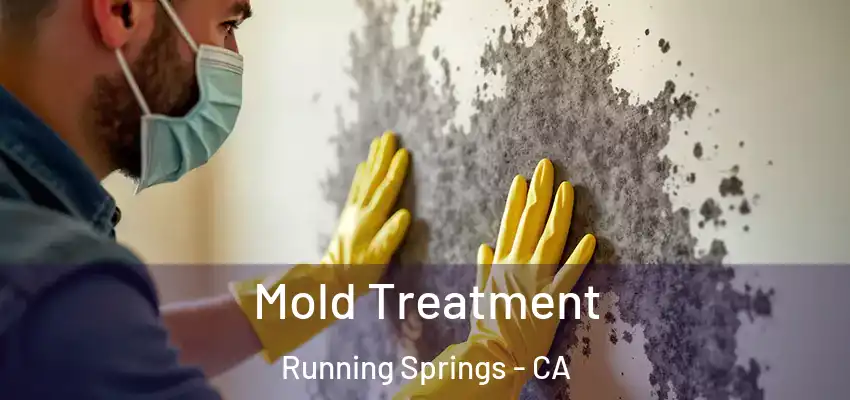  Mold Treatment Running Springs - CA