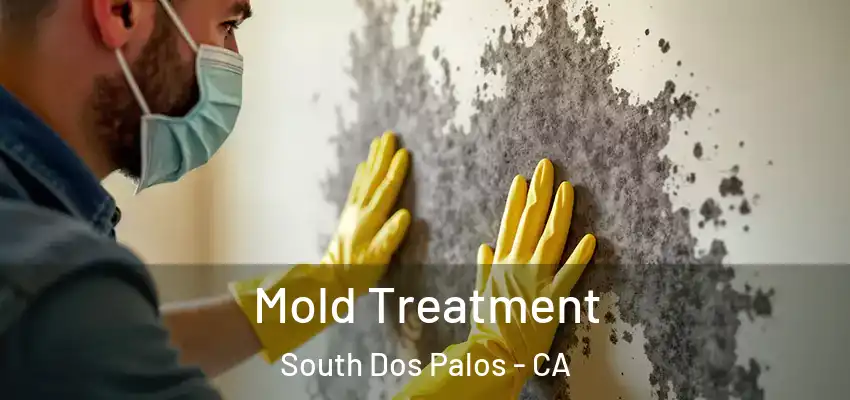  Mold Treatment South Dos Palos - CA