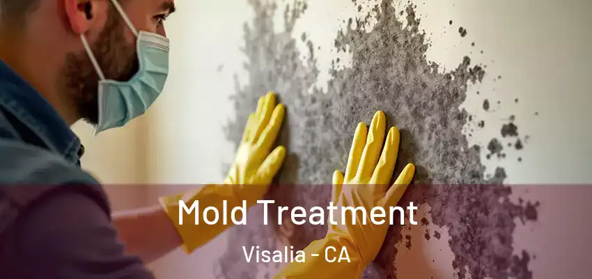  Mold Treatment Visalia - CA
