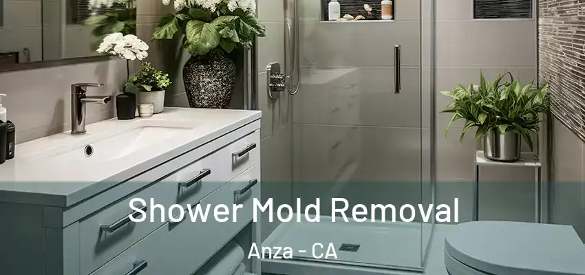  Shower Mold Removal Anza - CA