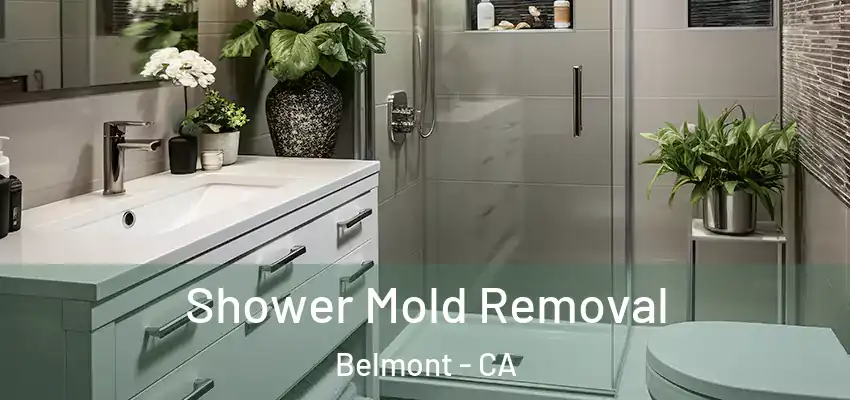  Shower Mold Removal Belmont - CA