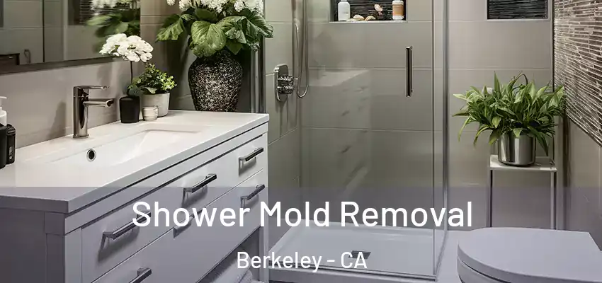  Shower Mold Removal Berkeley - CA