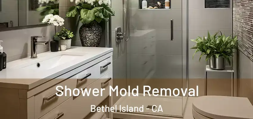  Shower Mold Removal Bethel Island - CA