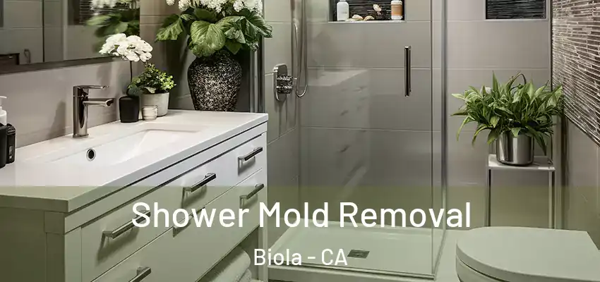  Shower Mold Removal Biola - CA