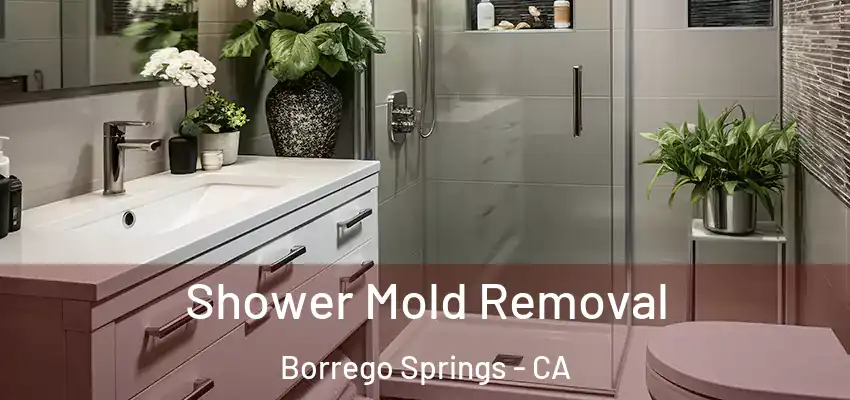  Shower Mold Removal Borrego Springs - CA