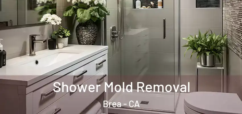  Shower Mold Removal Brea - CA