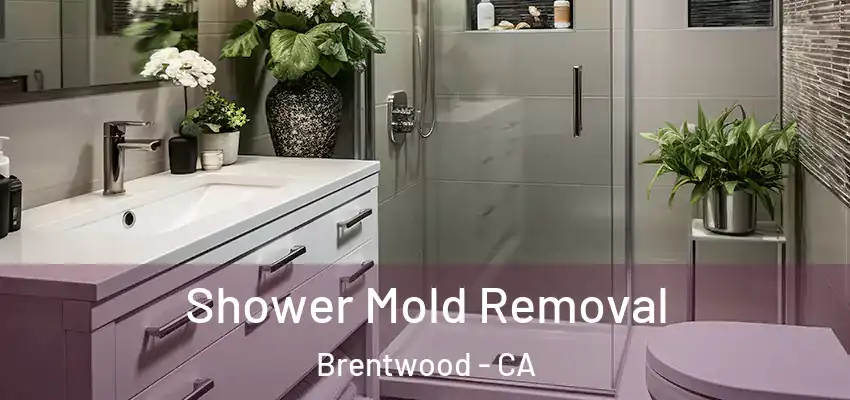  Shower Mold Removal Brentwood - CA