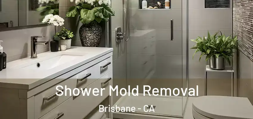  Shower Mold Removal Brisbane - CA