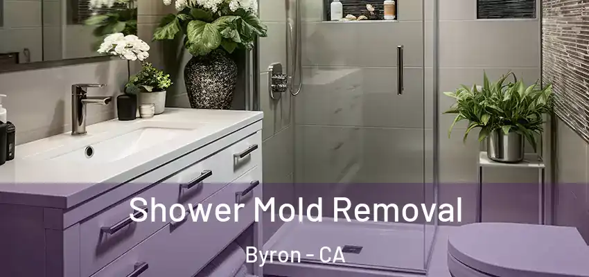  Shower Mold Removal Byron - CA