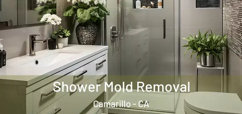  Shower Mold Removal Camarillo - CA