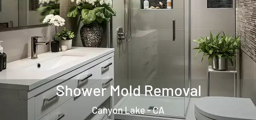  Shower Mold Removal Canyon Lake - CA