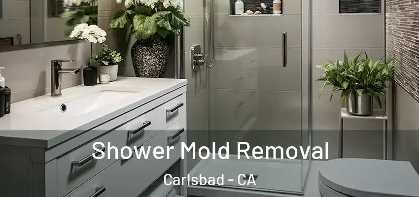  Shower Mold Removal Carlsbad - CA