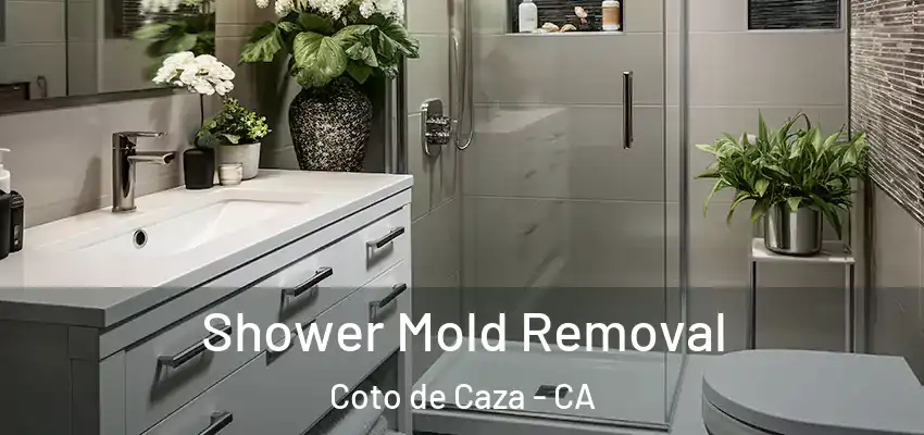  Shower Mold Removal Coto de Caza - CA