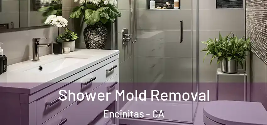  Shower Mold Removal Encinitas - CA