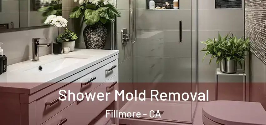  Shower Mold Removal Fillmore - CA