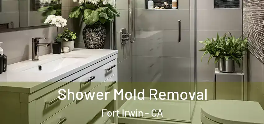  Shower Mold Removal Fort Irwin - CA