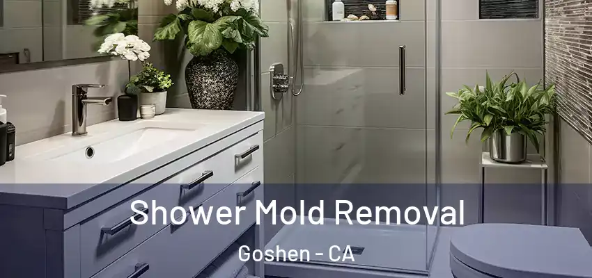  Shower Mold Removal Goshen - CA