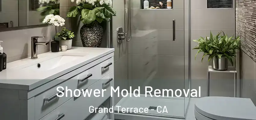  Shower Mold Removal Grand Terrace - CA