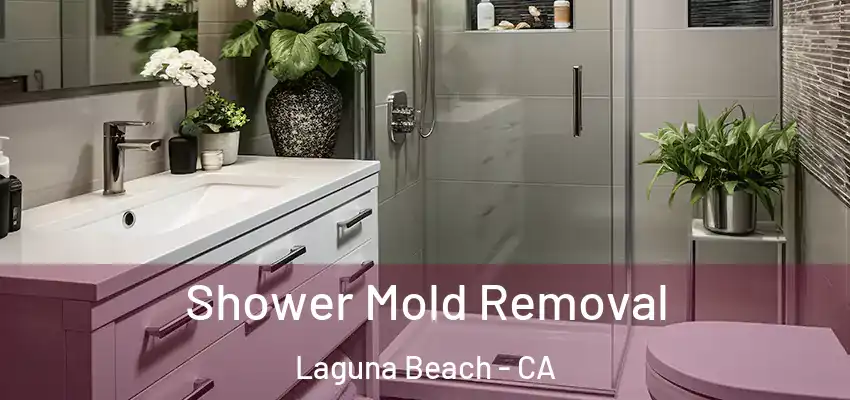  Shower Mold Removal Laguna Beach - CA