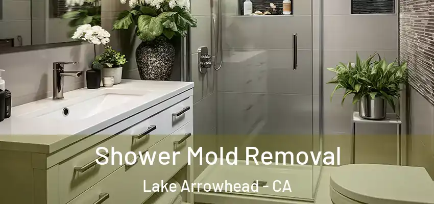  Shower Mold Removal Lake Arrowhead - CA