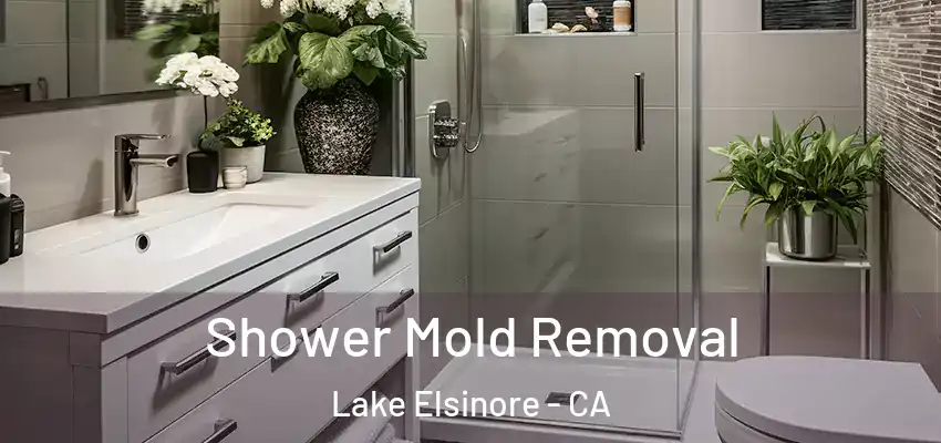  Shower Mold Removal Lake Elsinore - CA