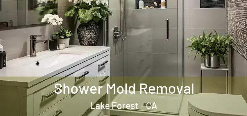  Shower Mold Removal Lake Forest - CA