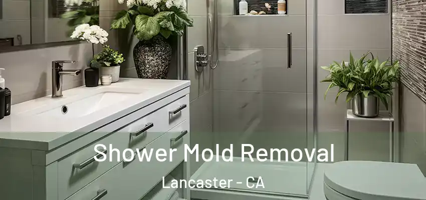  Shower Mold Removal Lancaster - CA
