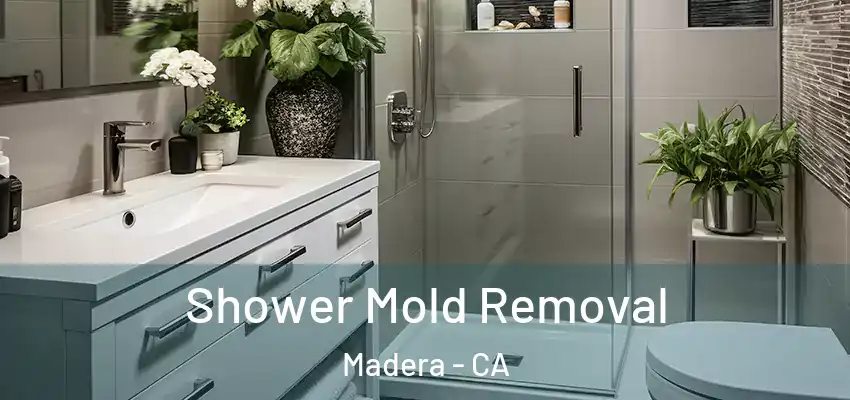  Shower Mold Removal Madera - CA