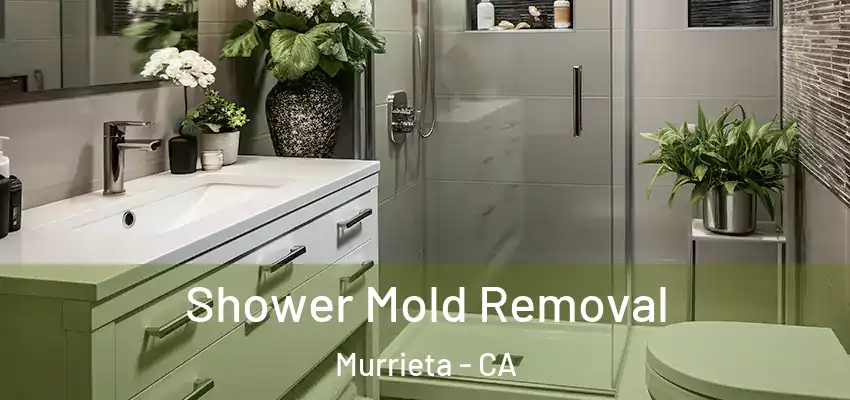  Shower Mold Removal Murrieta - CA