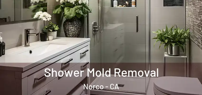  Shower Mold Removal Norco - CA