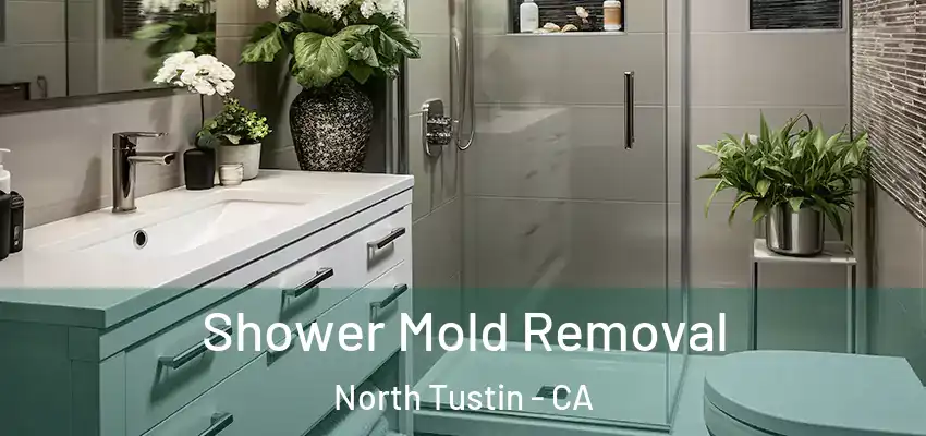  Shower Mold Removal North Tustin - CA