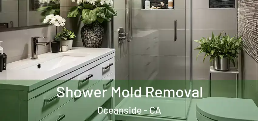  Shower Mold Removal Oceanside - CA