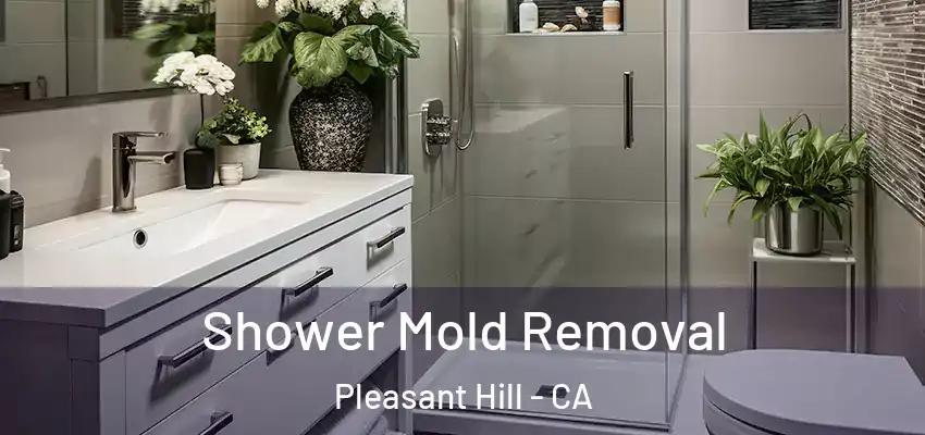  Shower Mold Removal Pleasant Hill - CA